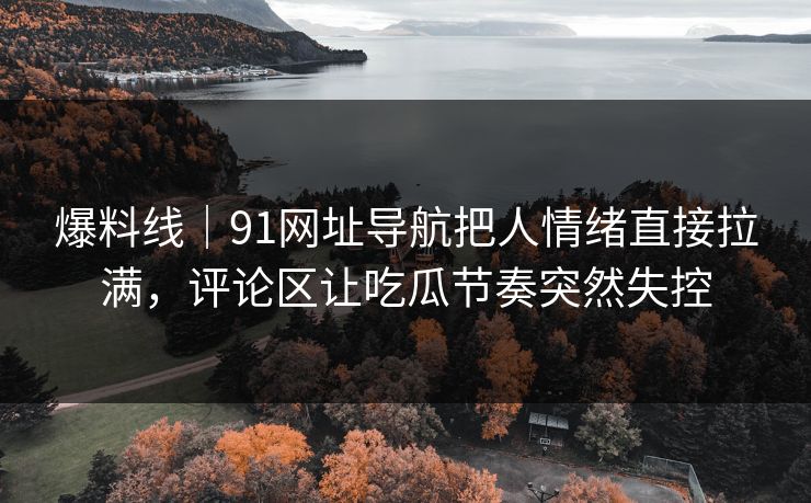 爆料线｜91网址导航把人情绪直接拉满，评论区让吃瓜节奏突然失控