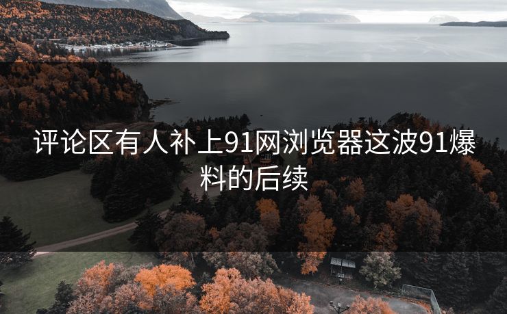 评论区有人补上91网浏览器这波91爆料的后续
