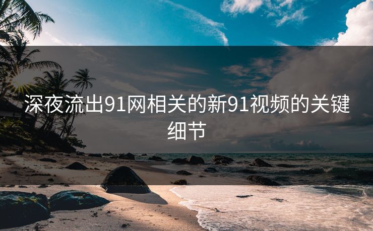 深夜流出91网相关的新91视频的关键细节