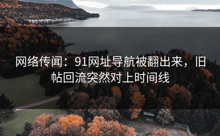 网络传闻：91网址导航被翻出来，旧帖回流突然对上时间线
