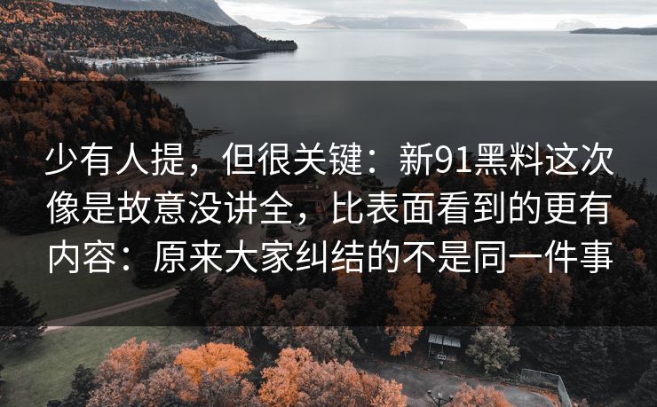 少有人提，但很关键：新91黑料这次像是故意没讲全，比表面看到的更有内容：原来大家纠结的不是同一件事