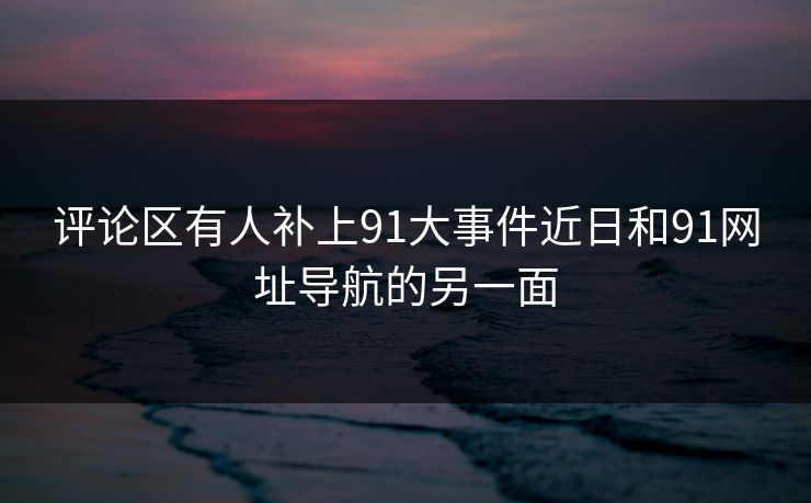 评论区有人补上91大事件近日和91网址导航的另一面