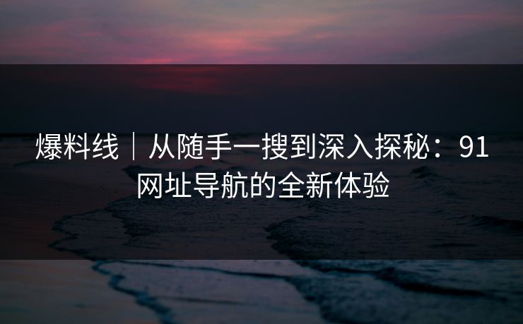 爆料线｜从随手一搜到深入探秘：91网址导航的全新体验