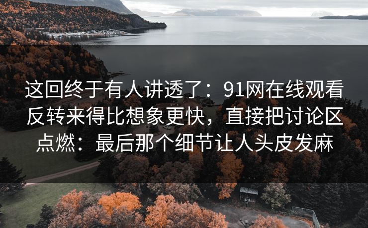 这回终于有人讲透了：91网在线观看反转来得比想象更快，直接把讨论区点燃：最后那个细节让人头皮发麻