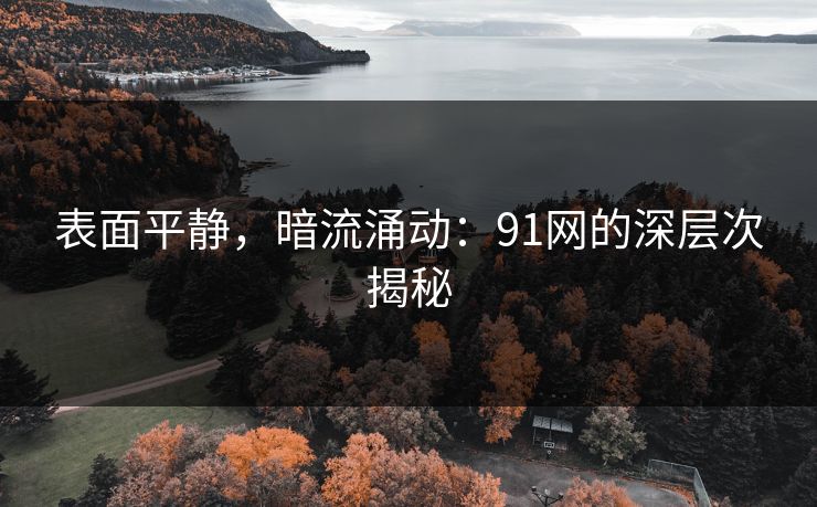 表面平静，暗流涌动：91网的深层次揭秘