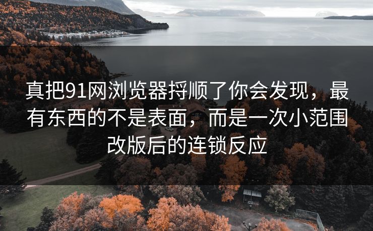 真把91网浏览器捋顺了你会发现，最有东西的不是表面，而是一次小范围改版后的连锁反应
